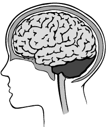 BRAIN GRAPHIC